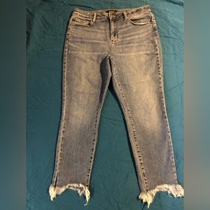 Judy Blue Skinny Fit Jean Shark Bite , Worn once